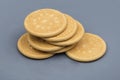 Round biscuits on a gray plate Royalty Free Stock Photo