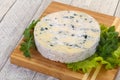 Round blue cheese Royalty Free Stock Photo