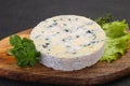 Round blue cheese Royalty Free Stock Photo