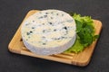 Round blue cheese Royalty Free Stock Photo