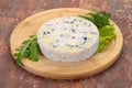 Round blue cheese Royalty Free Stock Photo
