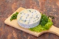 Round blue cheese Royalty Free Stock Photo