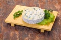 Round blue cheese Royalty Free Stock Photo