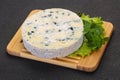 Round blue cheese Royalty Free Stock Photo
