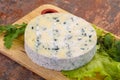 Round blue cheese Royalty Free Stock Photo