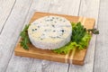 Round blue cheese Royalty Free Stock Photo