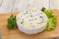 Round blue cheese Royalty Free Stock Photo
