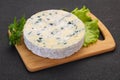 Round blue cheese Royalty Free Stock Photo