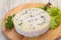 Round blue cheese Royalty Free Stock Photo
