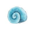 Round blue seashell painted in watercolor on white background