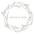 Round botanical foliage frame vector illustration.