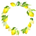 Round botanical frame with lemons and leaves. Watercolor hand drawn illustration Royalty Free Stock Photo