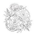 Round bouquet with five ornate peony flower and leaves isolated on white background. Floral elements in contour style. Royalty Free Stock Photo