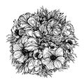 Round bouquet of flowers, black graphic contours on a white background. vector illustration, elements for design Royalty Free Stock Photo