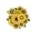 Round bouquet. Vector floral round element from hand-drawn yellow sunflowers, gerbera and leaves on white background For cards,
