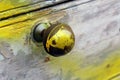 Round brass handle on a wooden door