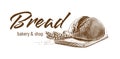 round bread Hand drawing sketch engraving illustration style Royalty Free Stock Photo