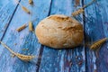 Round bread on rustic background. Wheat ears, spikelets, awns, grains. Royalty Free Stock Photo