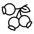 Round briar fruit icon outline vector. Wild rosehip seed
