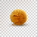 Round brown cookie with crumbs isolated on transparent background. Realistic vector illustration