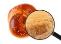 Round bun and wheat field is origin for production shown in a magnifying glass. Bakery food production and agriculture