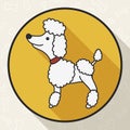 Button with Elegant Poodle in Flat Style and Long Shadow, Vector Illustration