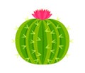 Round cactus with pink flower