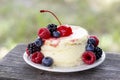 Round cake with fresh fruits Royalty Free Stock Photo