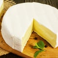 Round Camembert cheese, sliced, with a mint branch and pepper pe Royalty Free Stock Photo