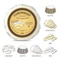 Round cheese mockup with camembert label. Vector illustration with vintage sticker.