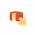 Round cheese sliced flat icon