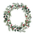 Round Christmas frame made of winter greenery, leaves, holly, pine branches. Watercolor botanical wreath illustration Royalty Free Stock Photo