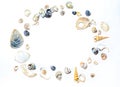 Round circle of small marine colorful light orange blue pink purple seashells of different shapes on white background. Snail shell