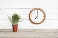 Round clock on a white wall. Green houseplant. Begining of the work day Royalty Free Stock Photo