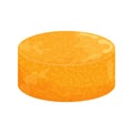 Round Colby Jack cheese detailed isolated on white background. Typical sort, nutrition product. Clipart, icon or design