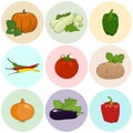 Round Colored Icons Fresh Vegetables