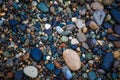 Round colored stones pebbles, snail on the stone. Royalty Free Stock Photo