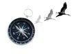 Round compass and birds on white background Royalty Free Stock Photo