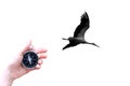 Round compass in hand and bird on white background