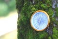 Round compass on moss on tree trunk