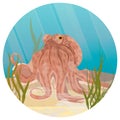 Round composition. Big octopus in the tropical sea. bottom with seaweed