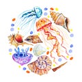 Round composition with different color jellyfishes and seashells. Hand drawn watercolor illustration