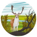 Round composition. European fallow deer stands in a summer meadow with a river and bushes. noble deer