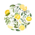 Round composition of hand drawn lemon flowers, lemons, leaves and lemon tree branches Royalty Free Stock Photo