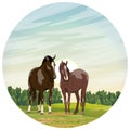 Round composition. A pair of horses stands on the field. Red foal Equus ferus caballus