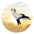 Round composition. The secretary bird Sagittarius serpentarius stands in a dry African savanna with tall grass and stones