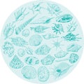 Round composition Summer concept with Unique museum collection of sea shells rare endangered species, molluscs Blue contour on tea