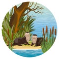 Round composition. Two river otters sit on the banks of a river or lake in thickets of reeds.