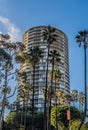 Round Condo Tower Beyond Palm Trees Royalty Free Stock Photo