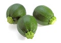 Round Courgette or Zucchini, cucurbita pepo against White Background